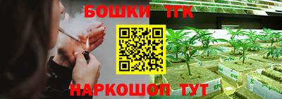 индика Азнакаево