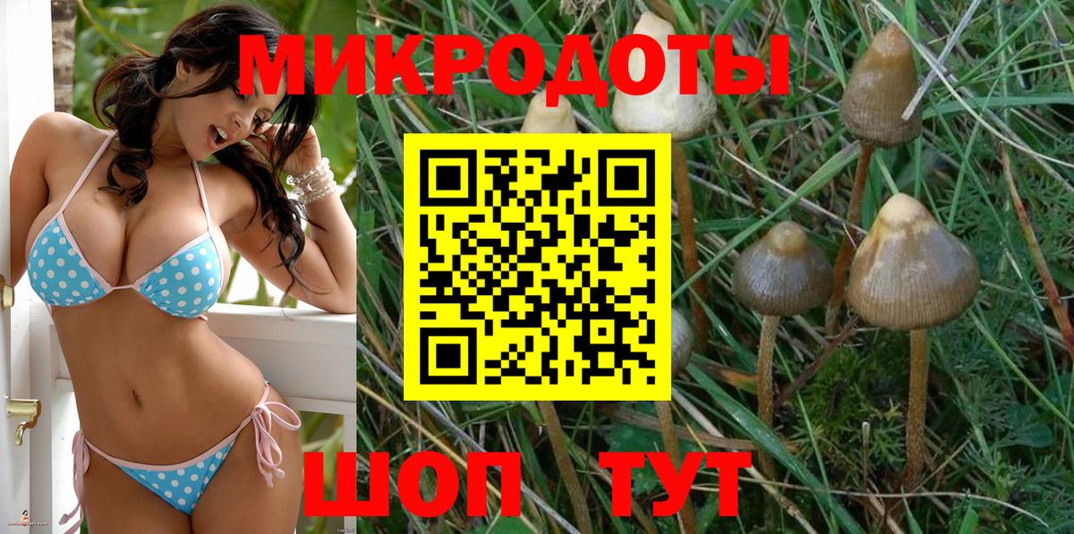Галлюциногенные грибы ЛСД  Псилоцибиновые грибы Psilocybe  Вход с VPN  где продают наркотики  Ангарск 
